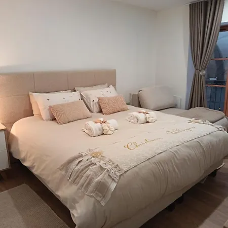 Apartment Cosy - Parking Gratuit - Centre Chambery