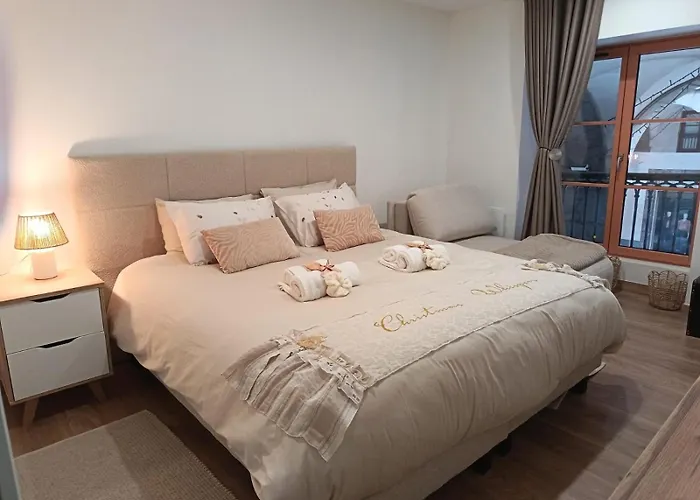 Apartment Cosy - Parking Gratuit - Centre Chambery